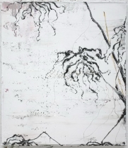 R Z maart 2010  04