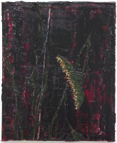 r.-zuurmond-juni-2019-08.