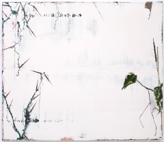 R-Zuurmond-aug-21-05